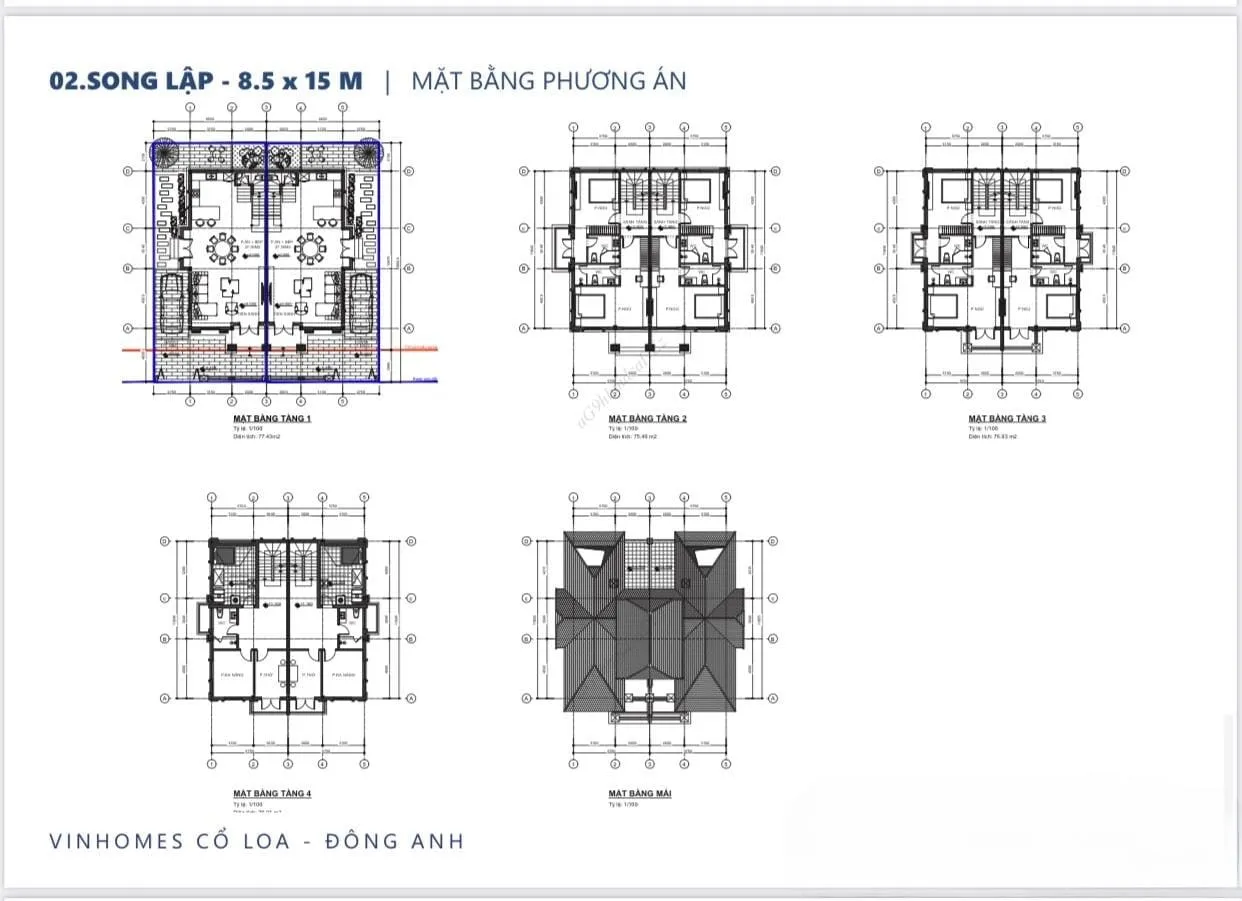 Mặt bằng phương án cấu trúc thiết kế biệt thự song lập