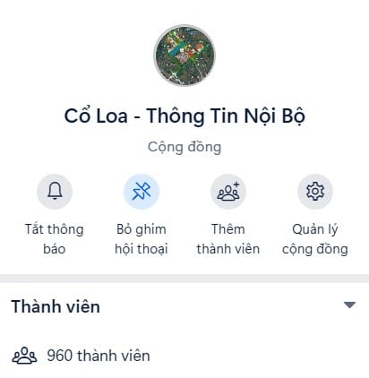 Group Vinhomes Cổ Loa của Dũng Ngô