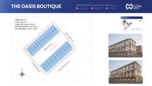 Quy hoạch The Oasis Boutique
